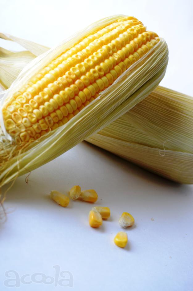 Перевозка кукурузы по норме +10%